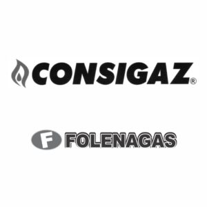 Folenagas