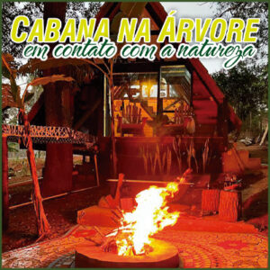 Cabana na Árvore